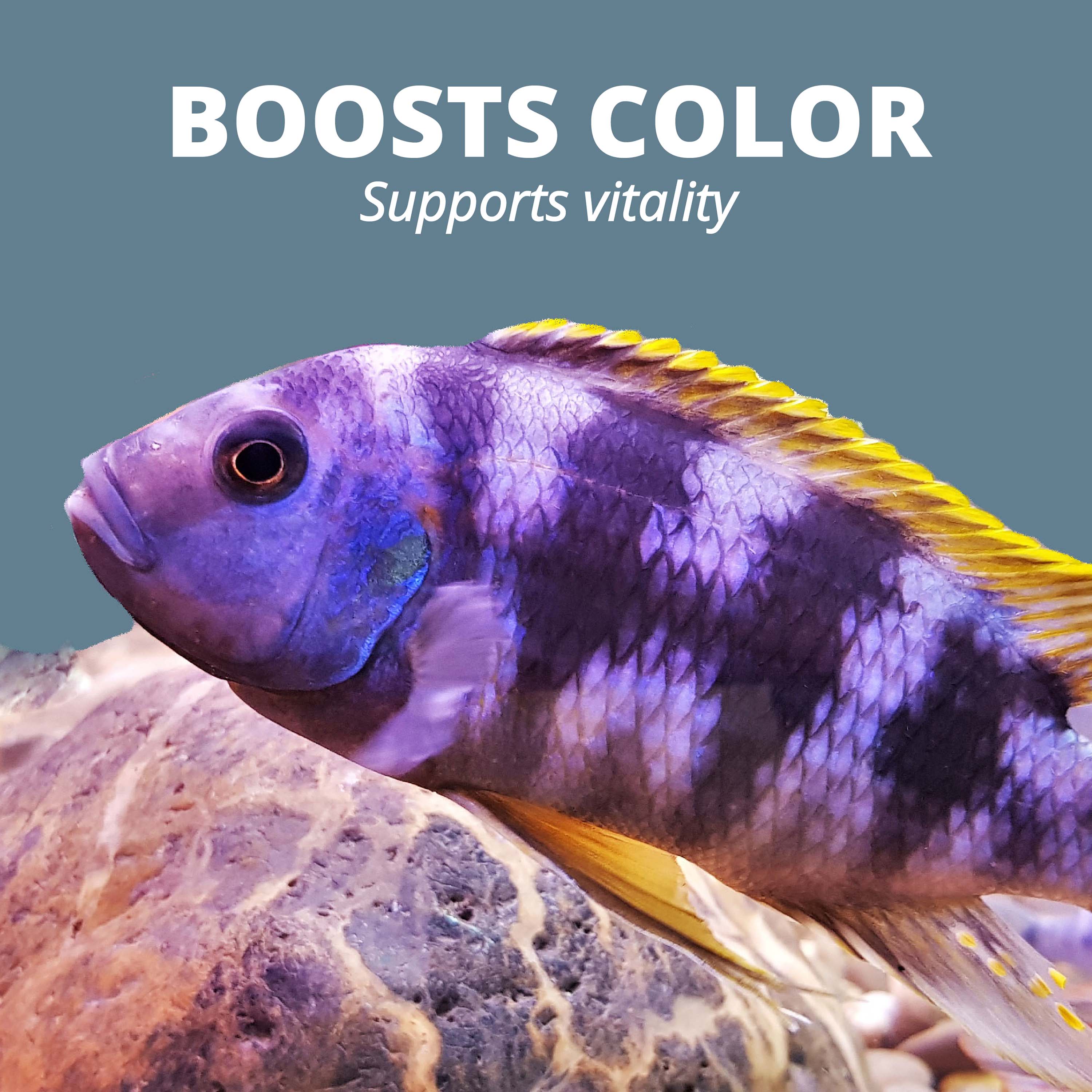 Tropical cichlid color flakes on sale